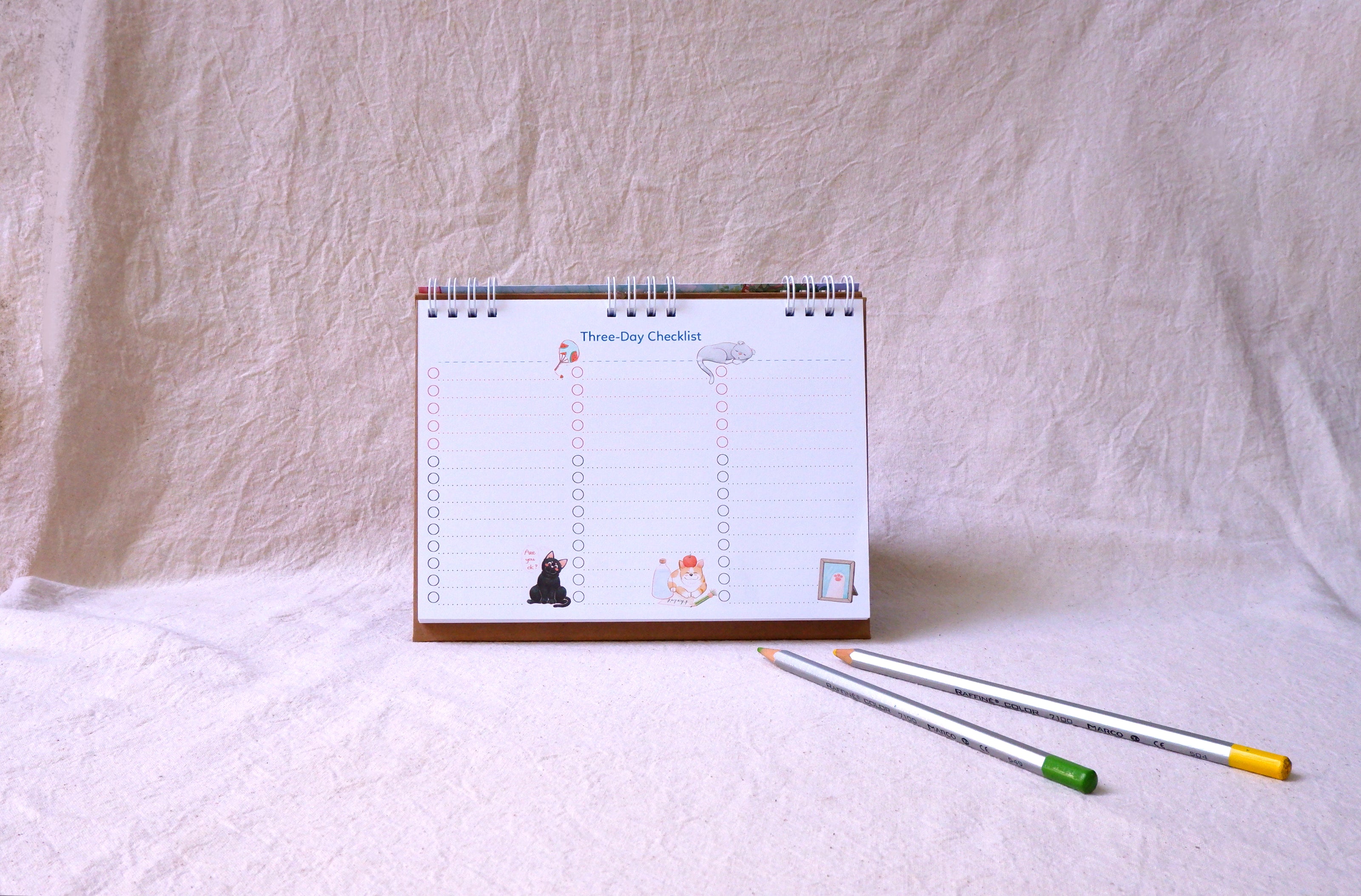 Black Cat 3-Day Checklist